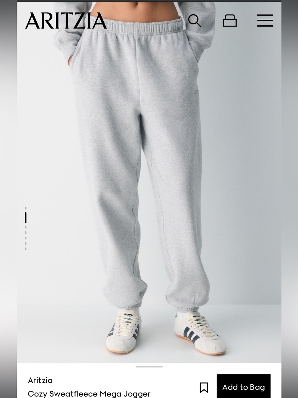 Aritzia Light Gray Men's Sweatfleece Joggers